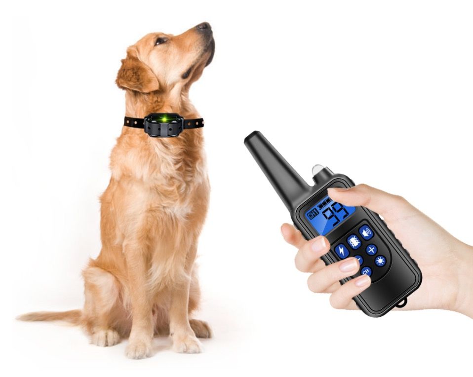 Scopri il Collare di Addestramento per Cani impermeabile IP7 con livelli regolabili e modalità vibrazione shock suono per un addestramento efficace e correzione comportamentale