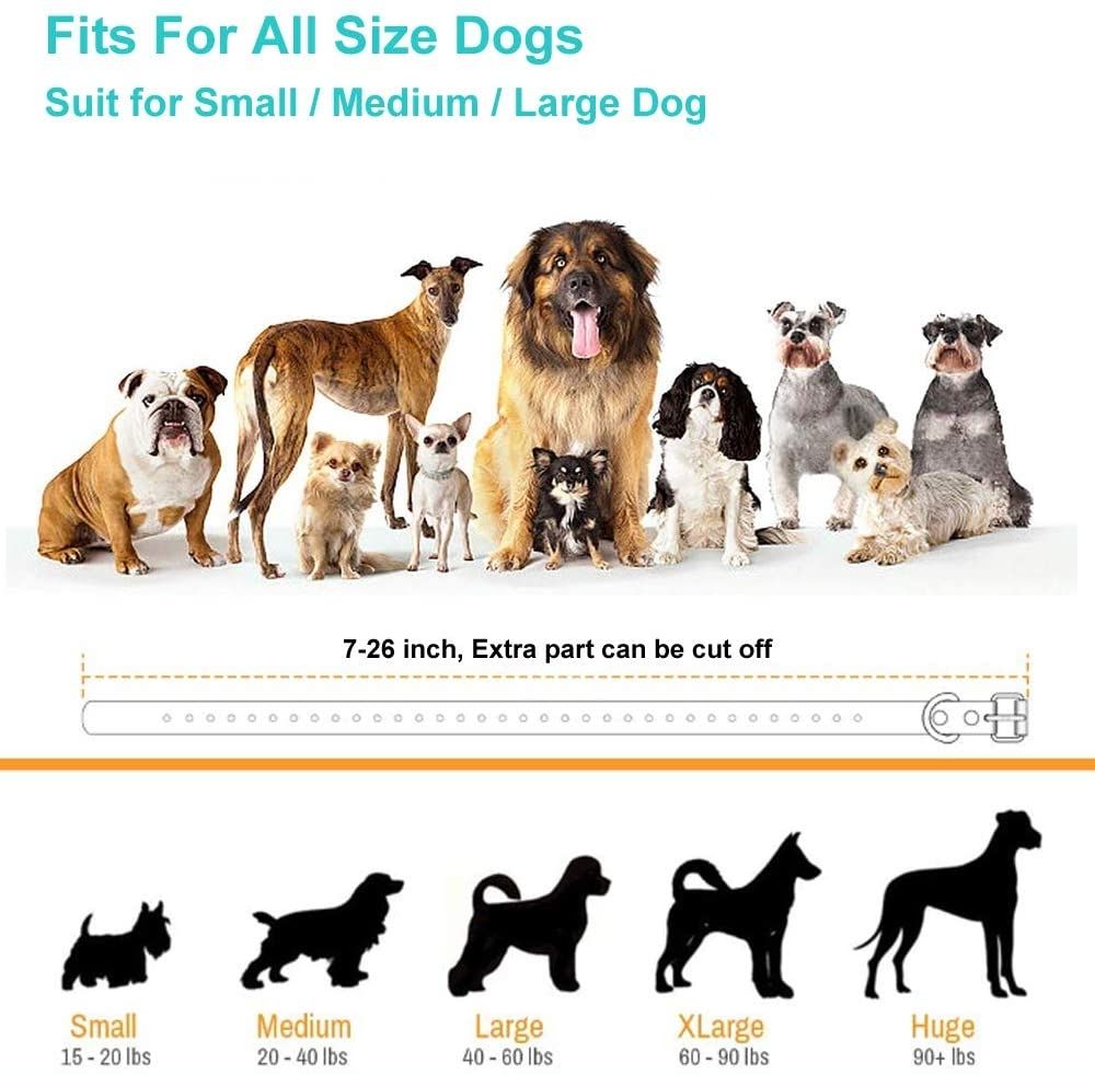 Miglior collare di addestramento 2025 collare elettrico per cani con controllo remoto 800m 3 modalità impermeabile IP67 batterie ricaricabili per addestramento cani piccoli e medi