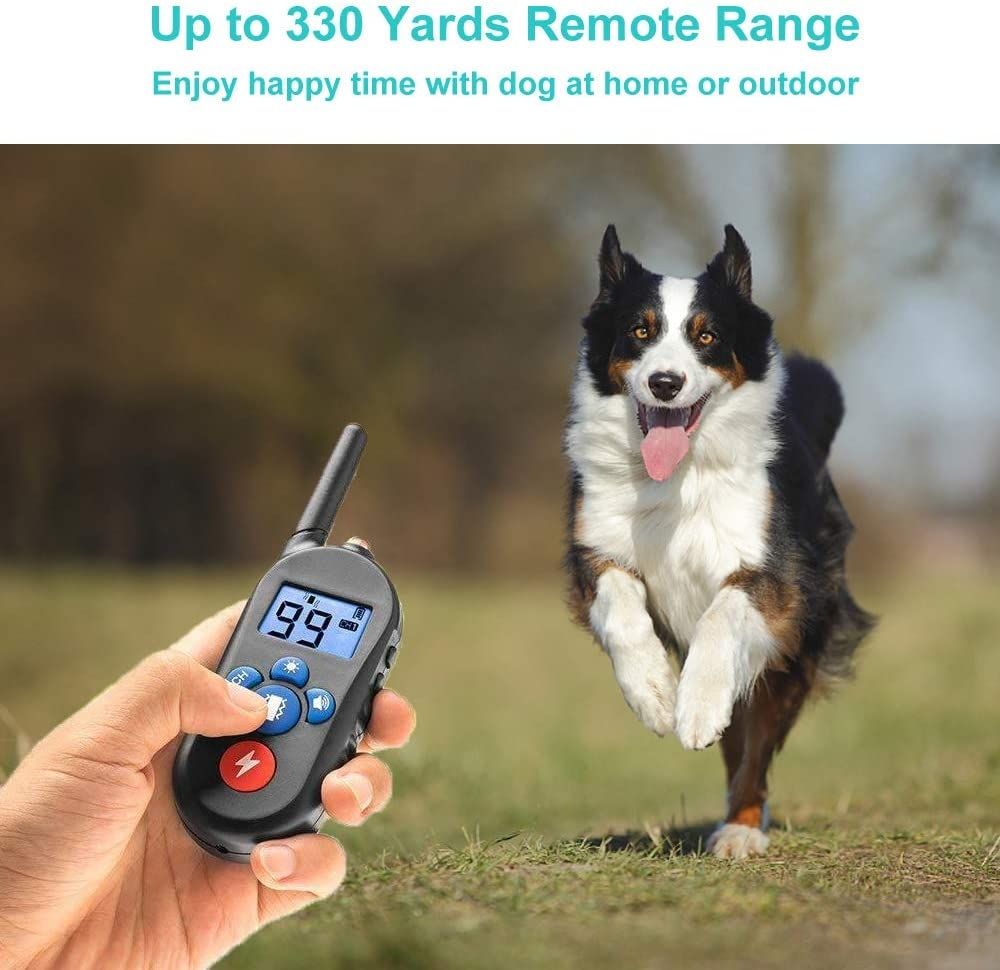 Miglior collare di addestramento 2025 collare elettrico per cani con controllo remoto 800m 3 modalità impermeabile IP67 batterie ricaricabili per addestramento cani piccoli e medi