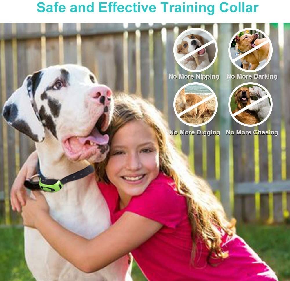 Miglior collare di addestramento 2025 collare elettrico per cani con controllo remoto 800m 3 modalità impermeabile IP67 batterie ricaricabili per addestramento cani piccoli e medi