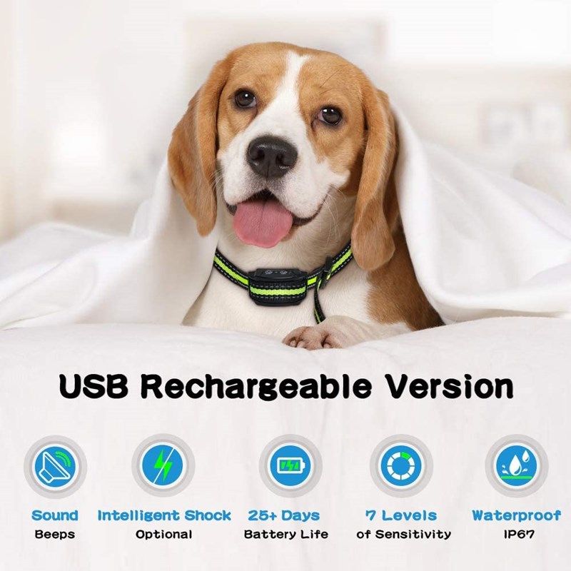 Collare Antiabbaio Ultrasonico Dispositivo Antiabbaio Intelligente Impermeabile e Ricaricabile USB per Addestramento Cani Umanizzato Strumento Leggero e Ecologico
