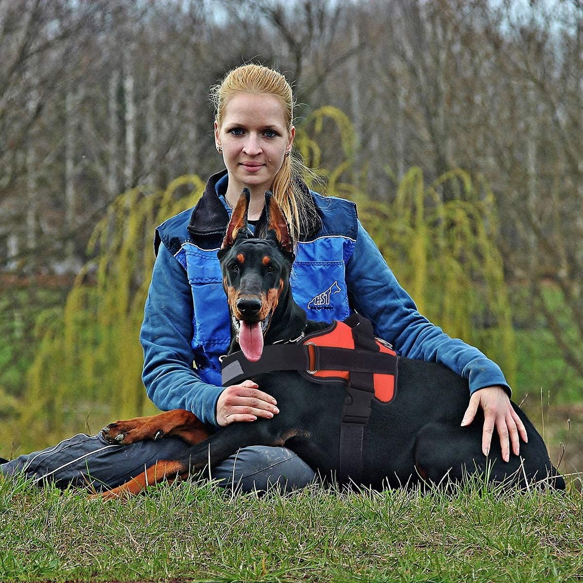 Gilet riflettente per cani anti-tiro con maniglia e pettorina regolabile per razze medie, attrezzatura comoda per passeggiate