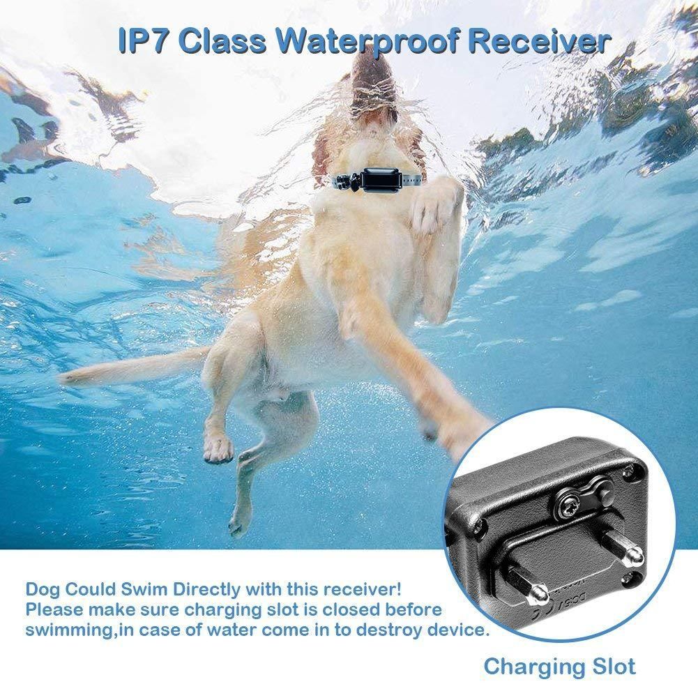 Miglior collare di addestramento 2025 collare elettrico per cani con controllo remoto 800m 3 modalità impermeabile IP67 batterie ricaricabili per addestramento cani piccoli e medi