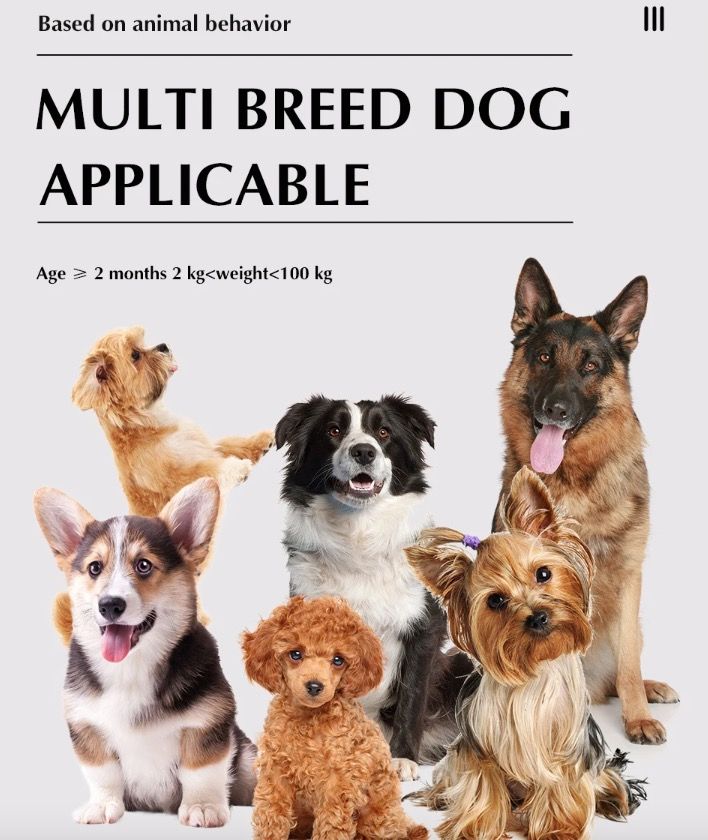 Sistema 2-in-1 Recinzione Elettronica Wireless e Collare di Addestramento Remoto Sicurezza Esterna per Animali Contenimento e Addestramento Cani di Tutte le Dimensioni Prodotti Innovativi per Animali