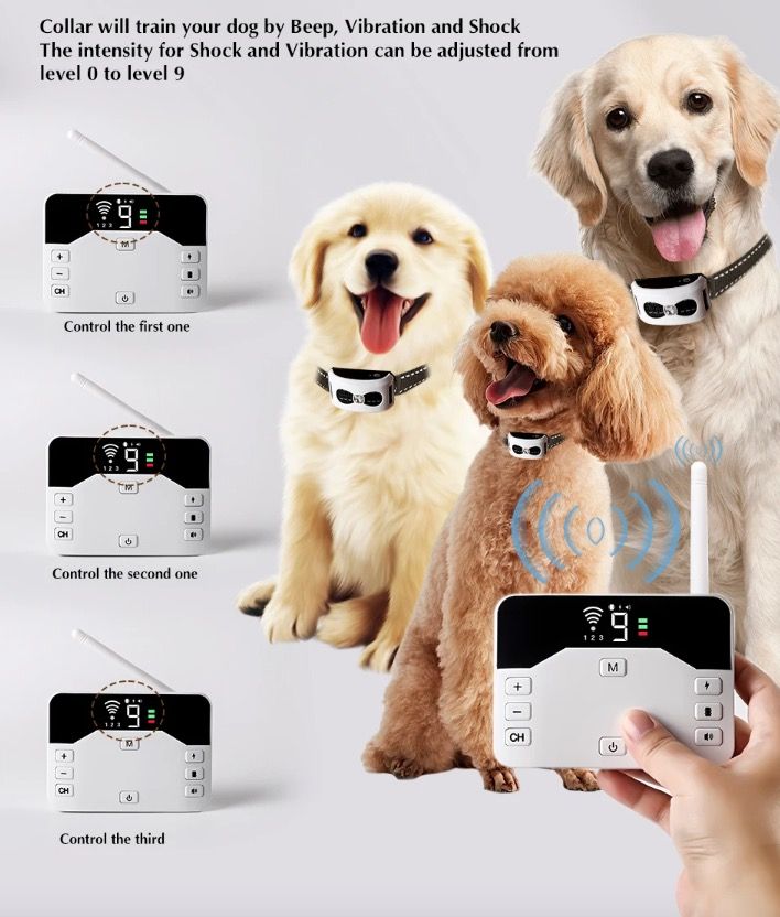 Sistema 2-in-1 Recinzione Elettronica Wireless e Collare di Addestramento Remoto Sicurezza Esterna per Animali Contenimento e Addestramento Cani di Tutte le Dimensioni Prodotti Innovativi per Animali