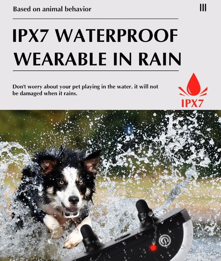 Sistema 2-in-1 Recinzione Elettronica Wireless e Collare di Addestramento Remoto Sicurezza Esterna per Animali Contenimento e Addestramento Cani di Tutte le Dimensioni Prodotti Innovativi per Animali