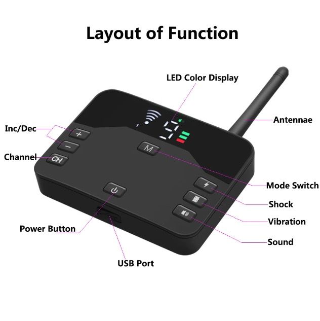 Recinto Elettrico per Cani Senza Fili e Collare di Addestramento con Shock Elettrico Vibrazione Regolabile Sistema Contenimento Animali Domestici Confini Personalizzabili