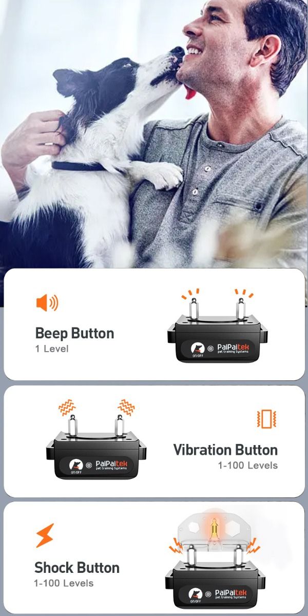 Collare di addestramento per cani PD 529-1-TIO elettrico fino a 1000m modalità regolabili impermeabile ricaricabile accessorio per animali domestici strumento di addestramento sicuro