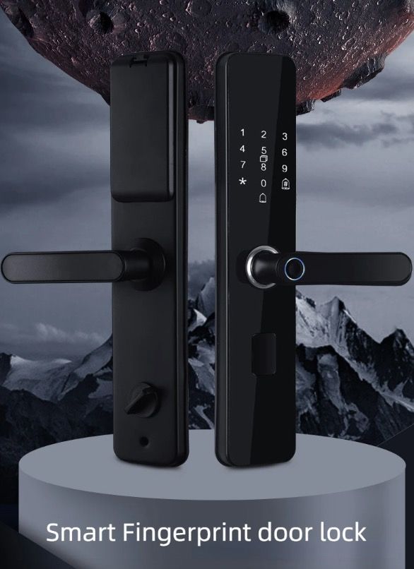 Serratura elettronica intelligente per porta con impronta digitale biometrica, ingresso senza chiave, design elegante, sicurezza domestica adatta alle famiglie.