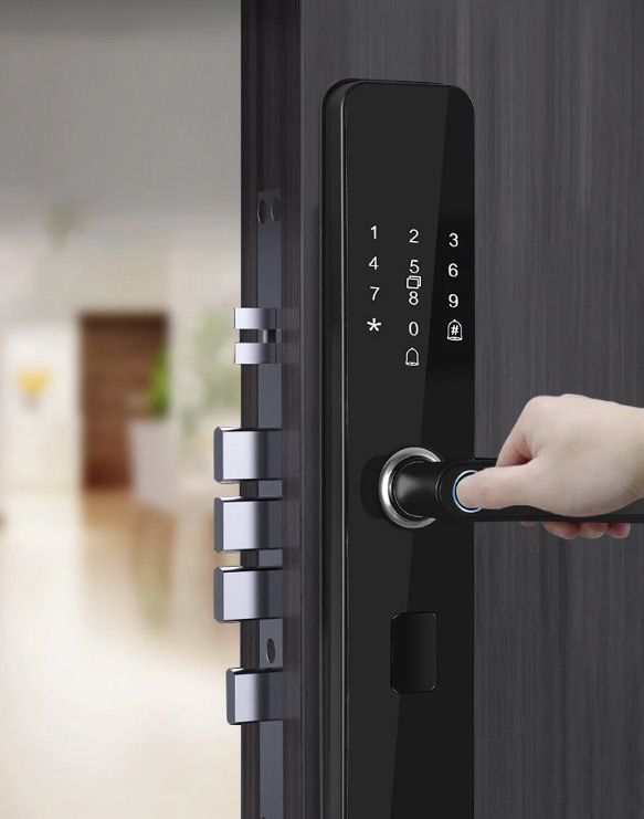 Serratura elettronica intelligente per porta con impronta digitale biometrica, ingresso senza chiave, design elegante, sicurezza domestica adatta alle famiglie.