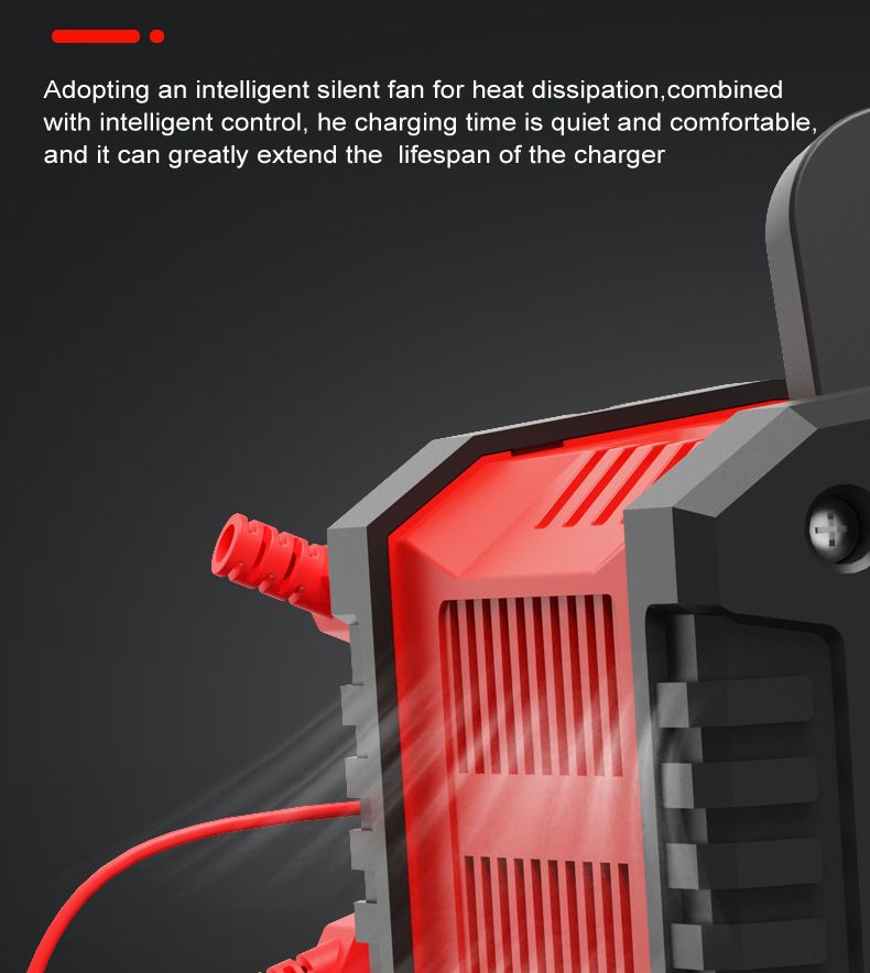 FOXSUR 20A Caricabatterie Portatile per Auto 12V 24V per Moto Camion AGM LiFePO4 Batteria al Piombo Acido Manutenzione