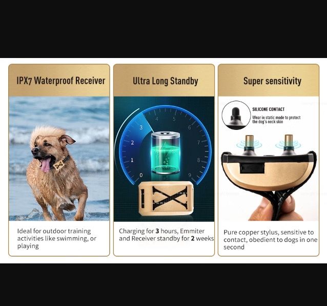 Recinto Elettronico per Animali e Collare di Addestramento per Cani Design Ergonomico Sicurezza Avanzata per Animali Libertà e Controllo dei Confini in Un Dispositivo Innovativo