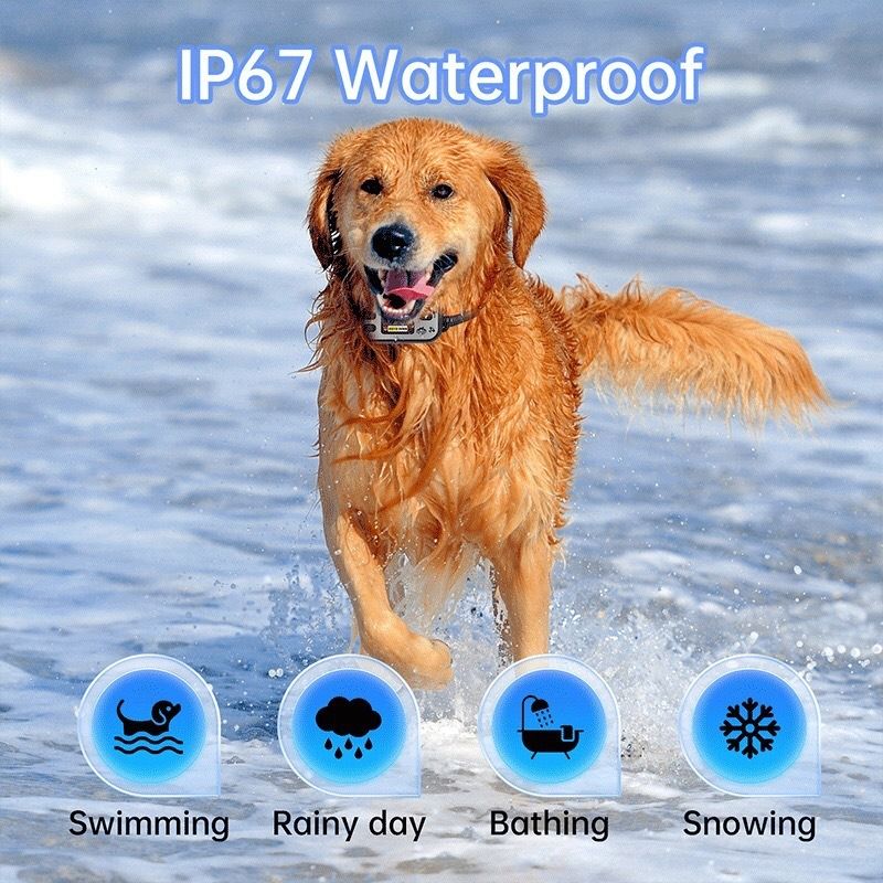 Collare GPS per Cani Recinto Invisibile e Antiabbaio Wireless, Ricaricabile e Impermeabile