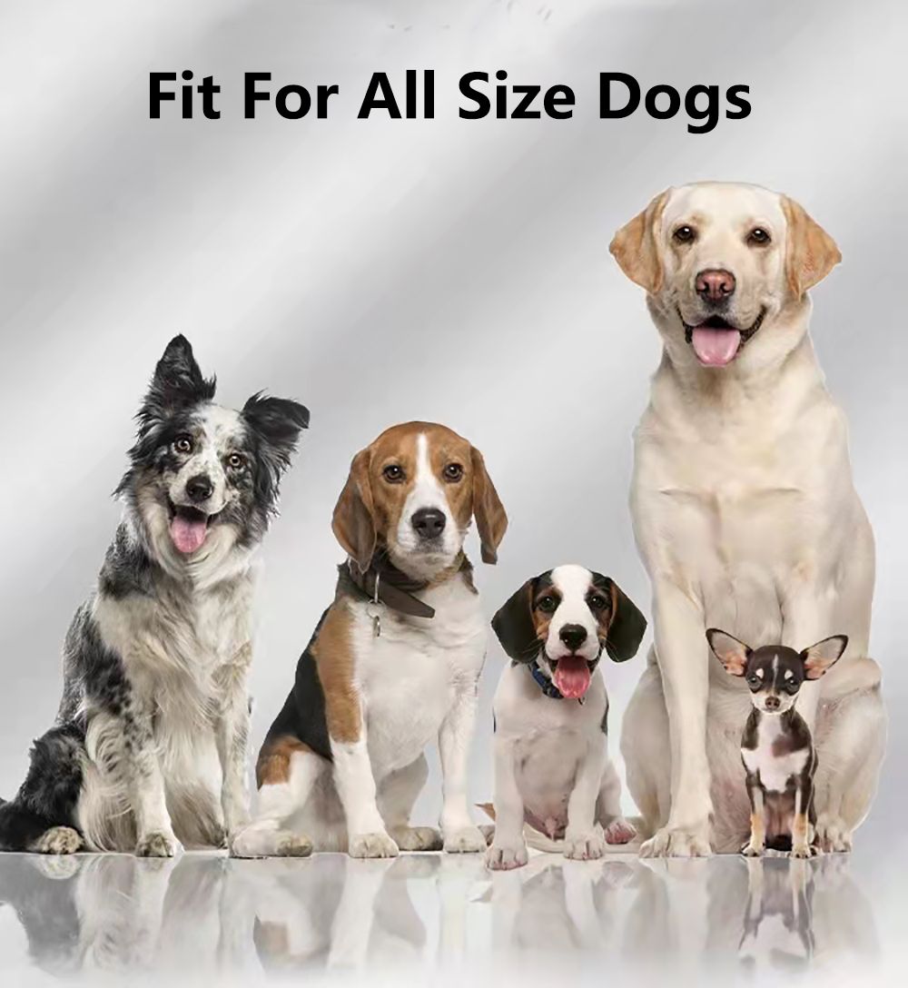 Recinto per cani senza fili GPS per esterni, dispositivo di recinzione per animali domestici con portata 3280 Ft, facile installazione per la sicurezza e la libertà degli animali domestici.