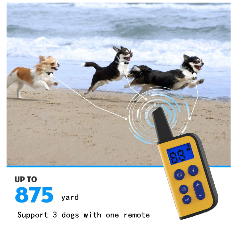 Collare Elettrico per Cani 2020 Raggio 1000m Telecomando per Animali Impermeabile Ricaricabile Display LCD Addestramento Personalizzato Modalità Bip Vibrazione Shock Statico Cani Tutte le Dimensioni