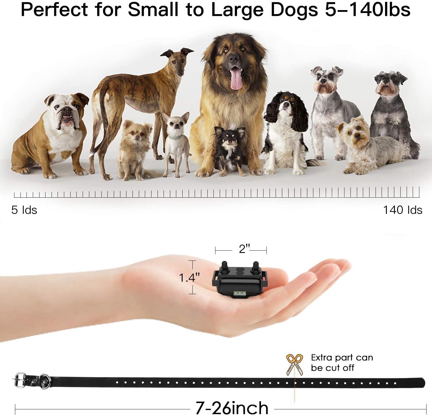 Collare Addestramento Cani Elettrico 800m con Telecomando per Animali Domestici Impermeabile Livelli Regolabili e LCD Addestramento Open Air di Tutte le Taglie 3 Modalità Disponibili