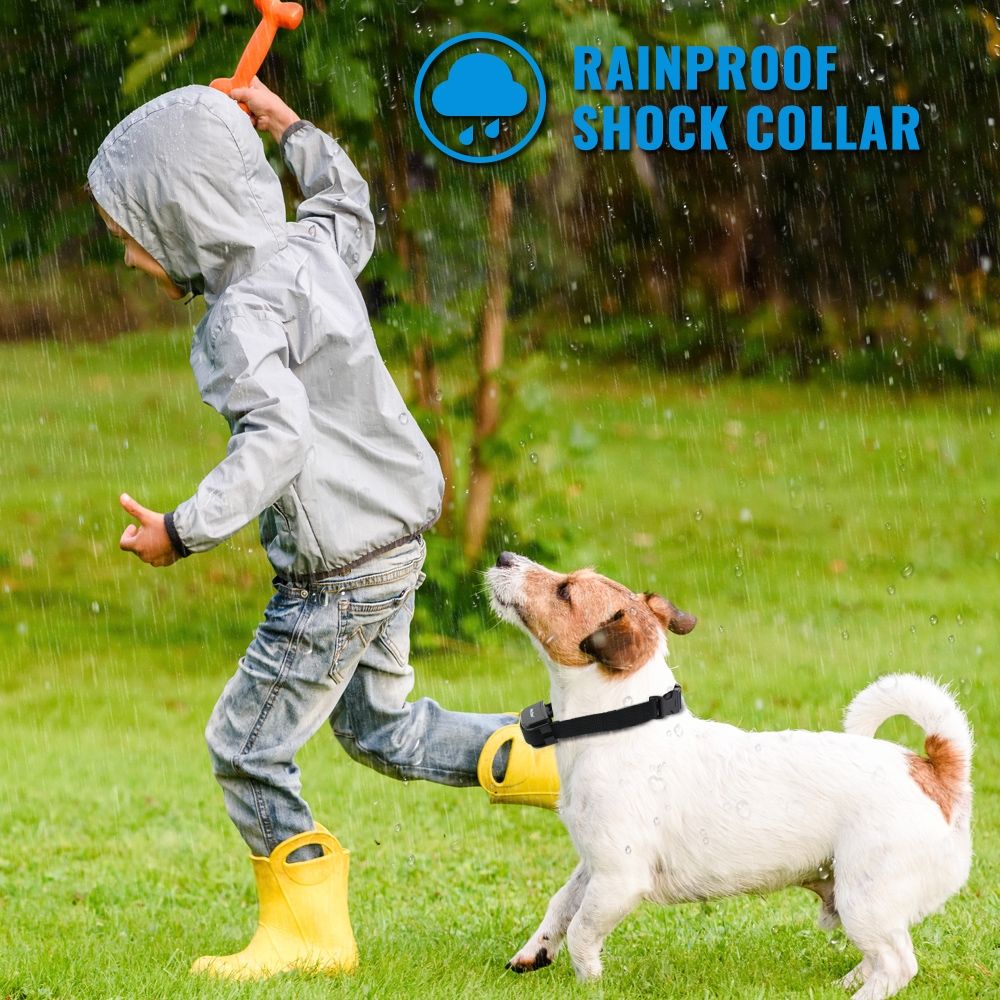 Collare di addestramento per cani Petrainer 998D con display LCD e raggio d'azione 300M collare ricaricabile impermeabile per controllo a lunga distanza e addestramento canino efficace