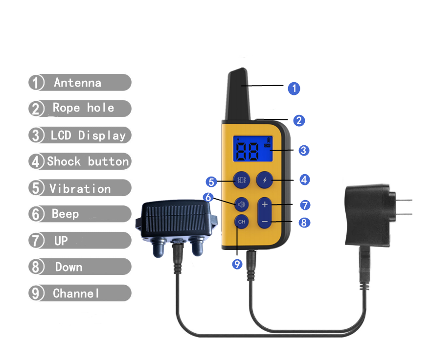 Collare Elettrico per Cani 2020 Raggio 1000m Telecomando per Animali Impermeabile Ricaricabile Display LCD Addestramento Personalizzato Modalità Bip Vibrazione Shock Statico Cani Tutte le Dimensioni
