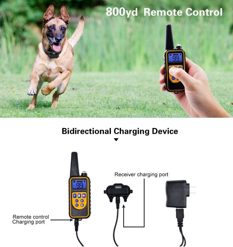 Collare Elettronico per Cani 800 Metri Telecomando Colletto Impermeabile Addestramento con Modalità Shock Vibrazione Beep Livelli Regolabili Accessorio Cane Tutte le Taglie Uso Esterno