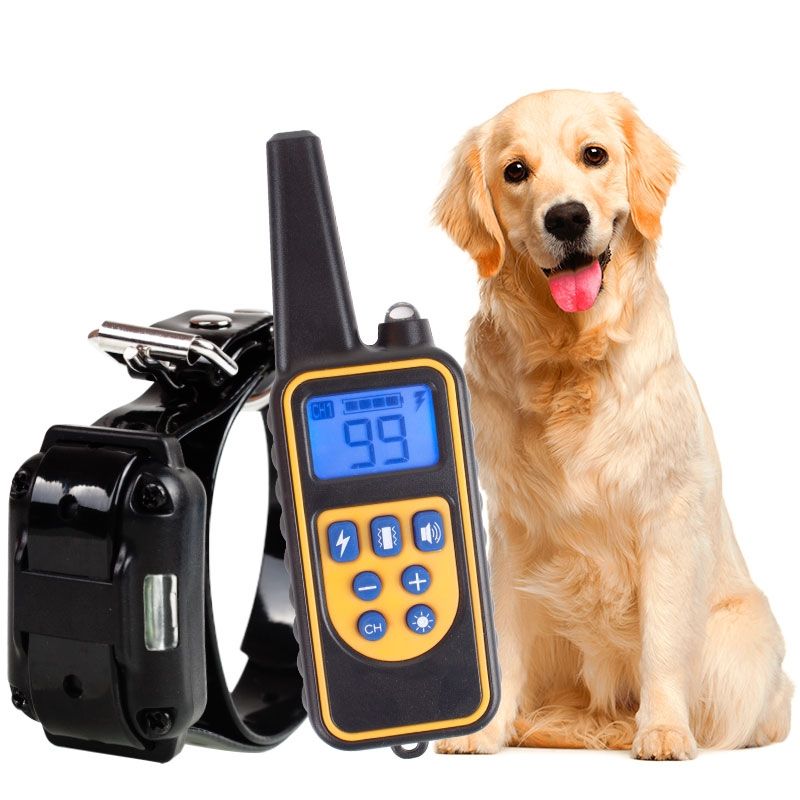 Collare elettrico per cani da addestramento da 800m, ricaricabile, impermeabile, con display LCD e livelli regolabili per l'obbedienza del cane.