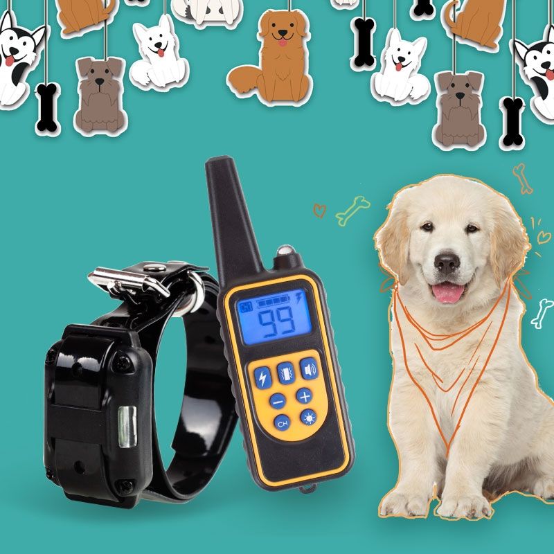Collare elettrico per cani da addestramento da 800m, ricaricabile, impermeabile, con display LCD e livelli regolabili per l'obbedienza del cane.