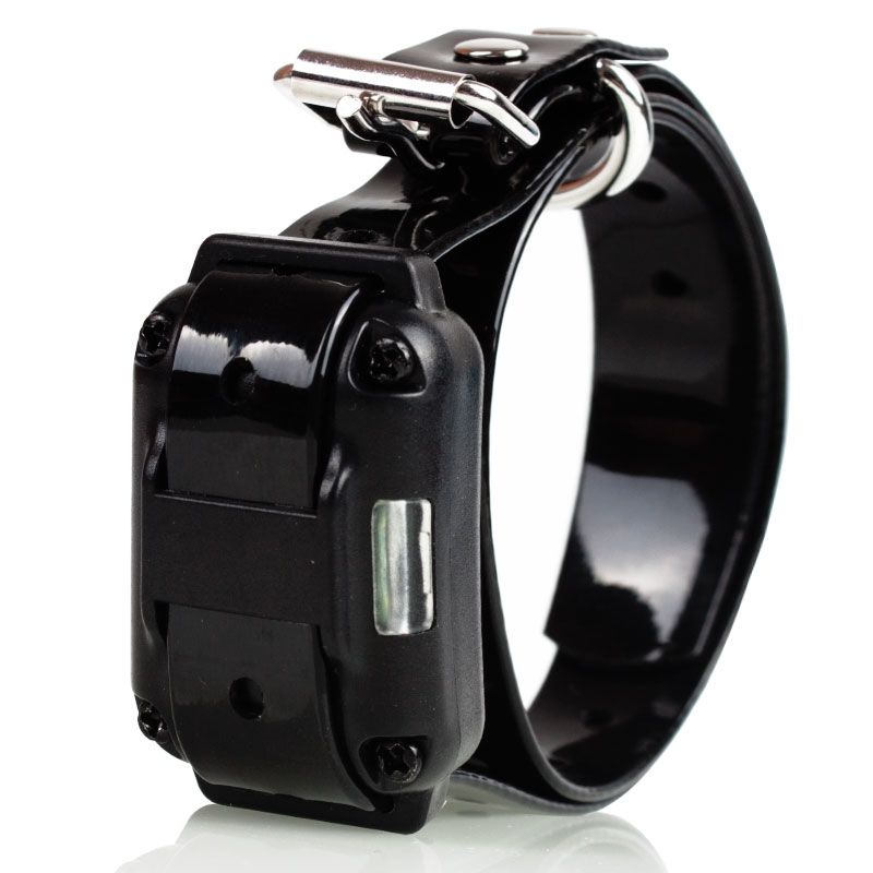 Collare elettrico per cani da addestramento da 800m, ricaricabile, impermeabile, con display LCD e livelli regolabili per l'obbedienza del cane.