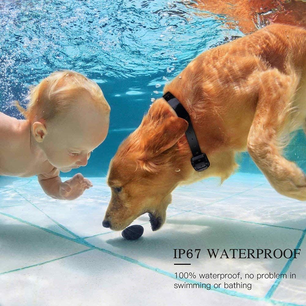 Collare Addestramento Cani Elettrico 800m con Telecomando per Animali Domestici Impermeabile Livelli Regolabili e LCD Addestramento Open Air di Tutte le Taglie 3 Modalità Disponibili