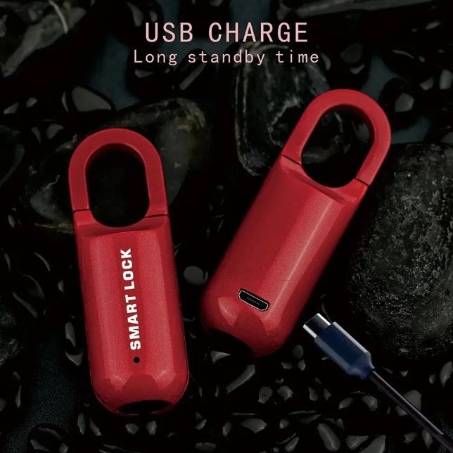 Lucchetto mini con impronta digitale, sblocco rapido, accesso senza chiave, lucchetto resistente con design leggero per la sicurezza nei viaggi.