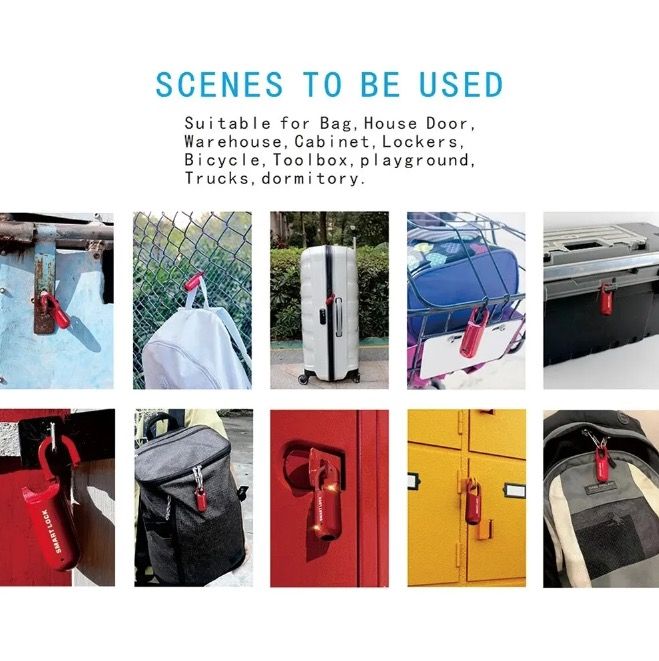 Lucchetto mini con impronta digitale, sblocco rapido, accesso senza chiave, lucchetto resistente con design leggero per la sicurezza nei viaggi.