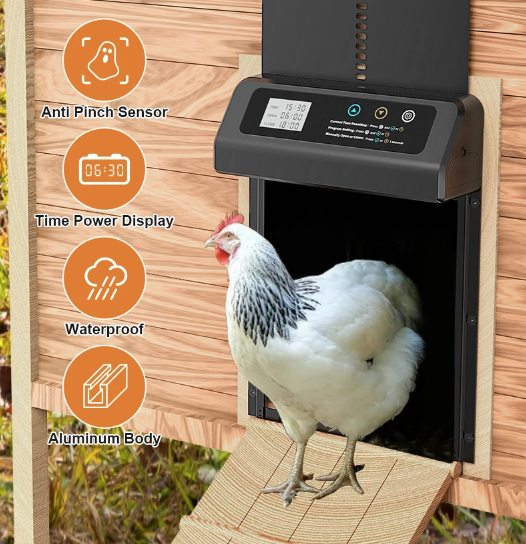 Apriporta automatico per pollaio con timer integrato, porta elettrica in alluminio resistente alle intemperie e durevole