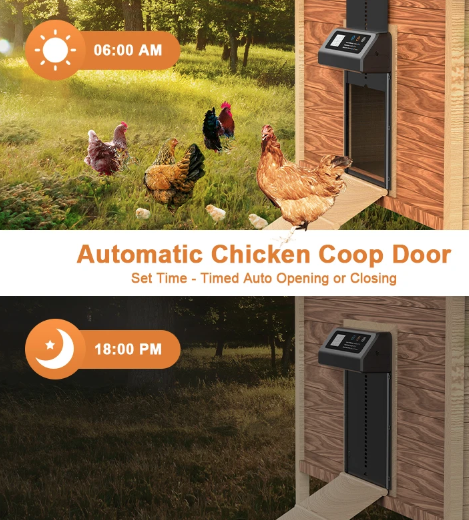 Apriporta automatico per pollaio con timer integrato, porta elettrica in alluminio resistente alle intemperie e durevole