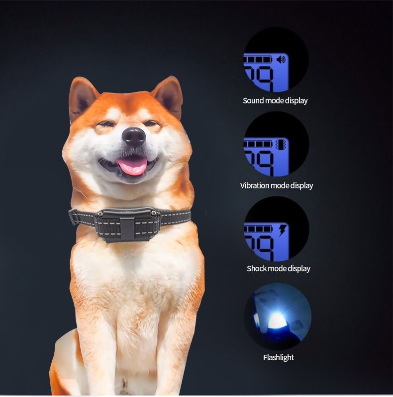 Collare d'Addestramento per Cani Impermeabile Ricaricabile con Display LCD e Telecomando Ideale per Addestramento All'aperto e Correzione Comportamento Canino Sicuro per Tutte le Taglie 800m