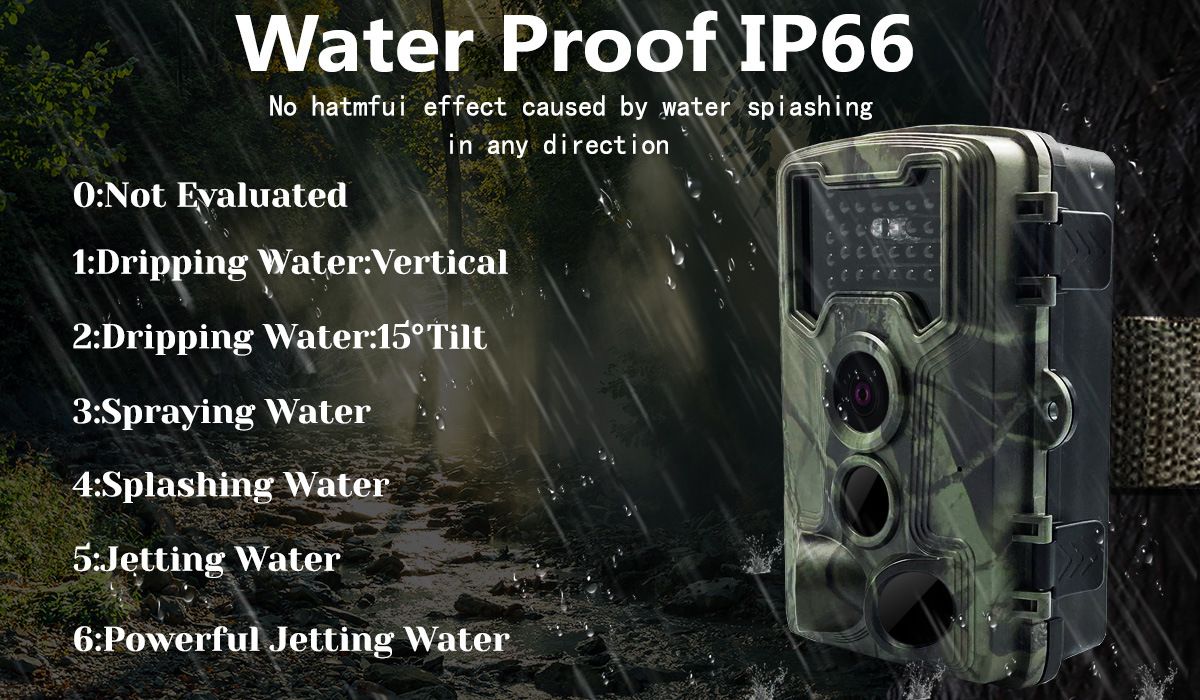 Scopri la Telecamera PR1000 per osservazione animali con visione notturna e risoluzione 36MP perfetta per monitoraggio fauna e cattura immagini mozzafiato all'aperto