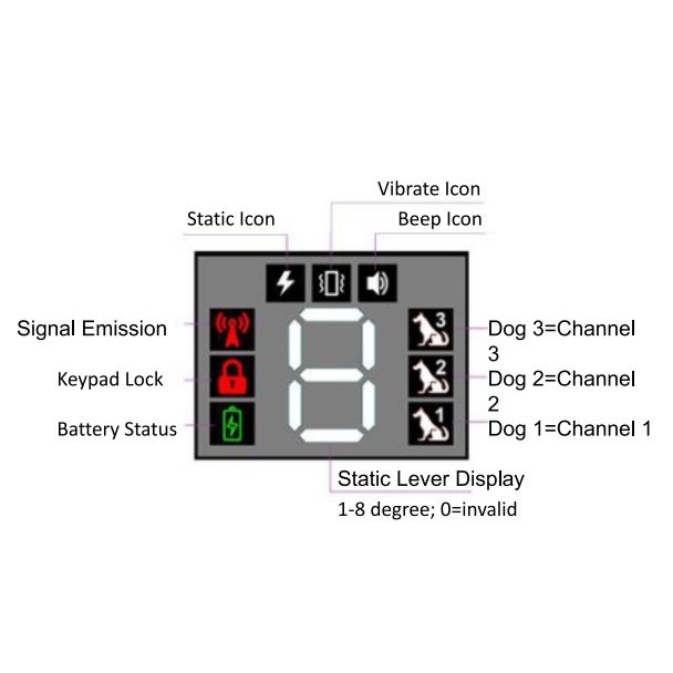 Collare Addestramento Cani Nuovo 2021 Modalità Bip Vibrazione Shock Collare Remoto Ricaricabile Addestramento Sicuro Efficace Per Tutte Le Razze Essenziale Per Proprietari Di Cani