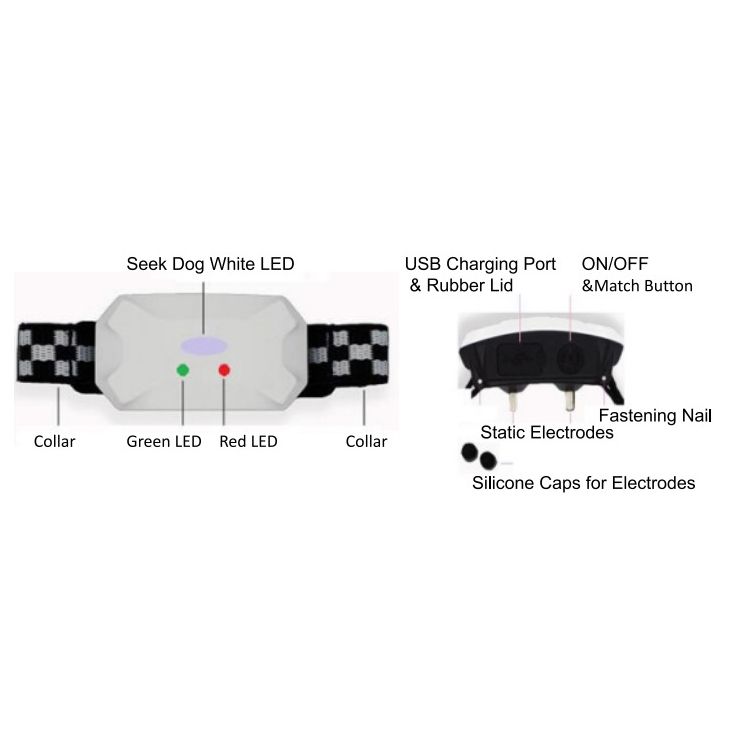 Collare Addestramento Cani Nuovo 2021 Modalità Bip Vibrazione Shock Collare Remoto Ricaricabile Addestramento Sicuro Efficace Per Tutte Le Razze Essenziale Per Proprietari Di Cani