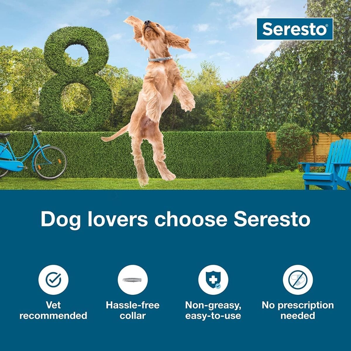 Collare Seresto Cani Taglia Grande | Protezione 8 Mesi Antiparassitario | Veterinario Raccomandato