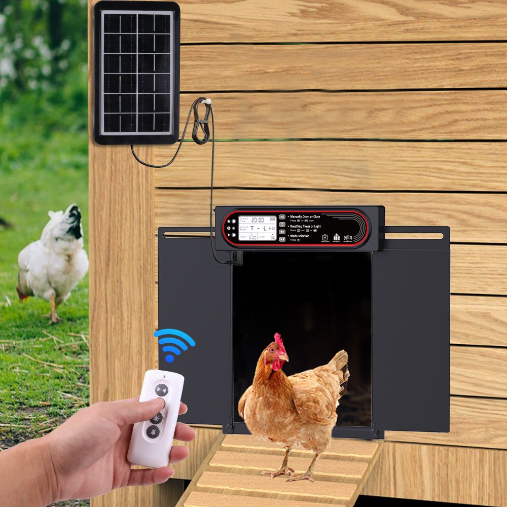 Porta automatica solare per pollaio con timer e sensore di luce, ricarica USB per una gestione ecologica del pollame