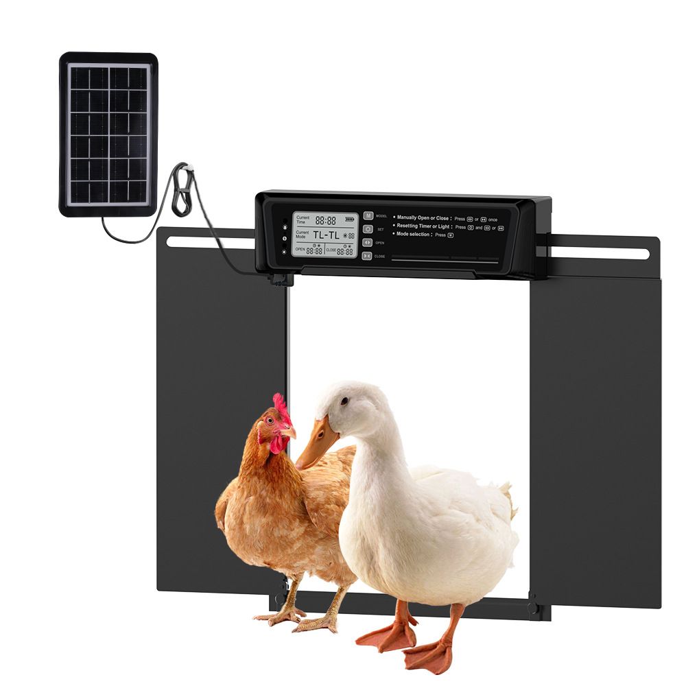 Porta automatica solare per pollaio con timer e sensore di luce, ricarica USB per una gestione ecologica del pollame