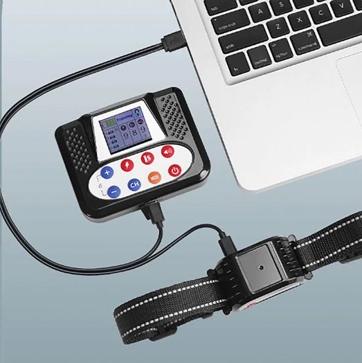 Dispositivo di Addestramento Intelligente per Cani e Recinto Elettronico Senza Fili con Schermo a Colori per Sicurezza e Addestramento Comportamentale Canino Design Ergonomico